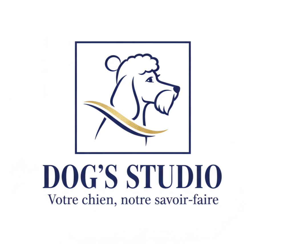 capture d’écran 2025 12 03 à 15.53.15